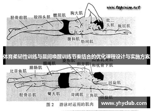 体育柔韧性训练与晨间唤醒训练节奏结合的优化课程设计与实施方案