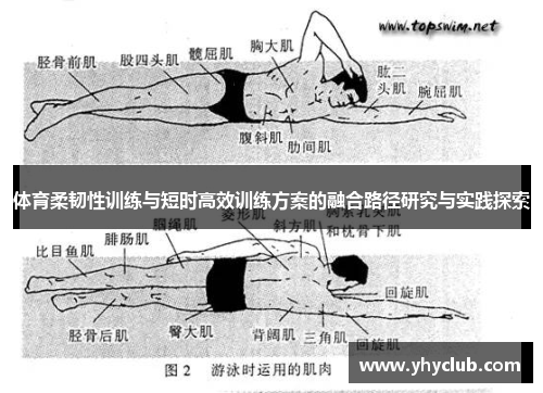 体育柔韧性训练与短时高效训练方案的融合路径研究与实践探索